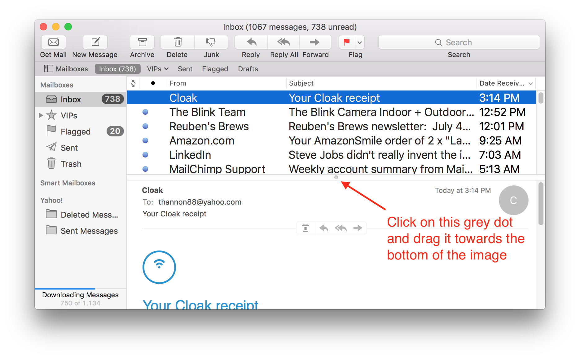 mac email program view