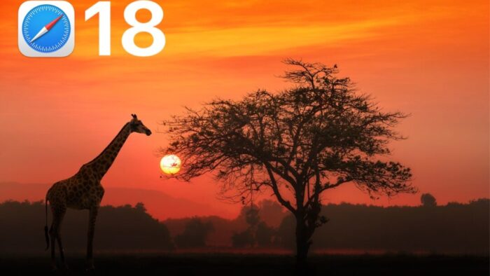 orange sunset with shadows of a giraffe and tree in the foreground. overlay of a Safari icon and the number 18 in the top left corner.