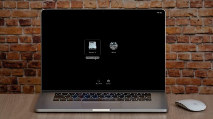 open Mac laptop on a desk against a brick wall. Screen shows a Macintosh HD icon and a gear with "Options" underneath it.